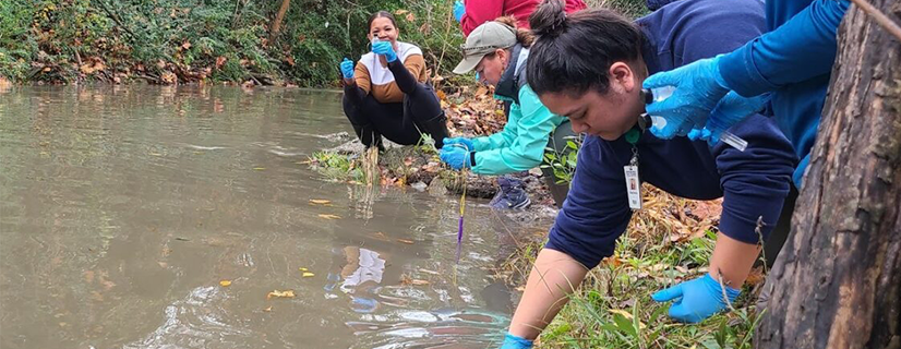 Volunteers with gloves are in a creek testing water 